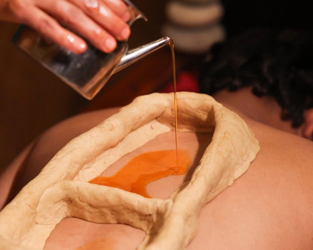 naturoville himalayan wellness retreat951770194768.webp