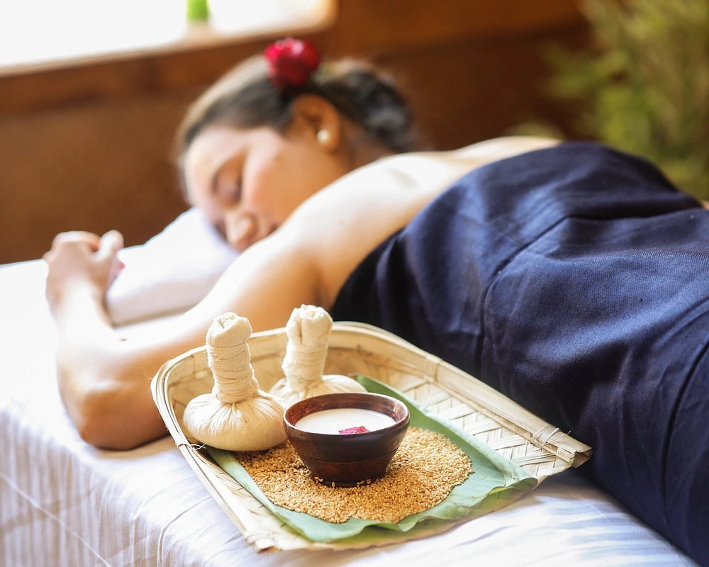 naturoville himalayan wellness retreat971770194768.webp