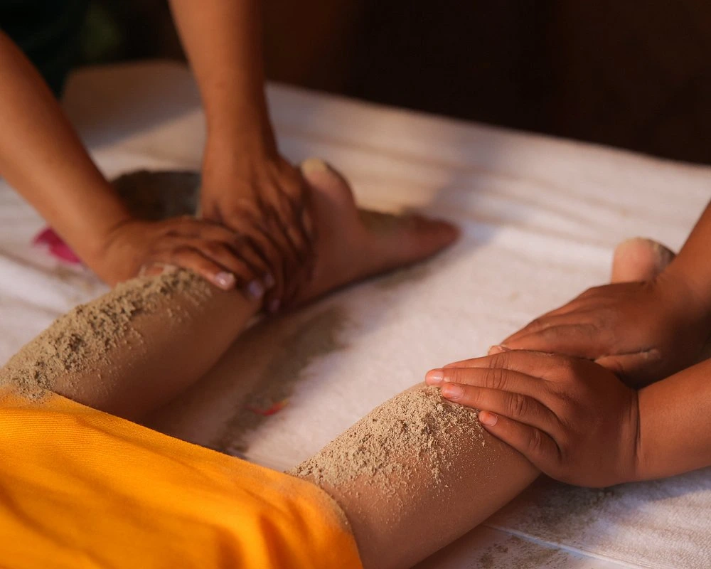 naturoville himalayan wellness retreat981770194768.webp