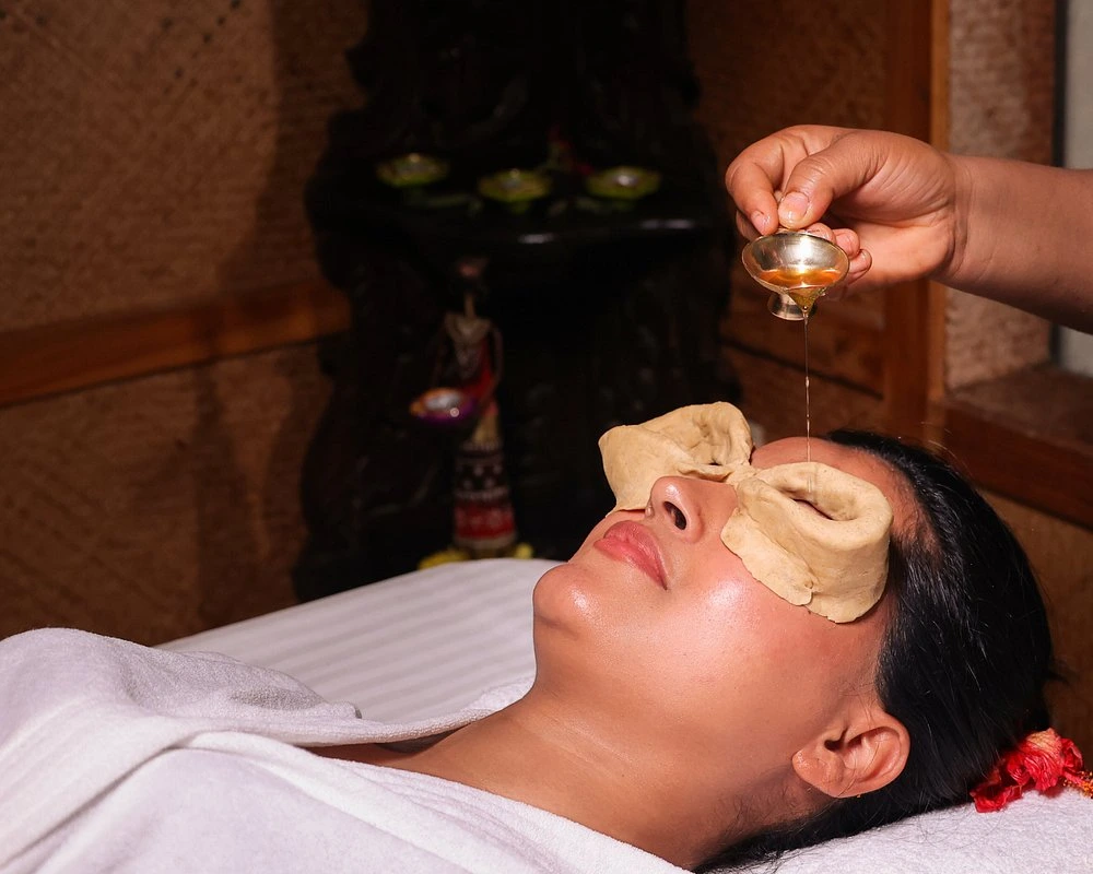 naturoville himalayan wellness retreat991770194768.webp