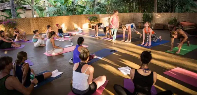 mahi yoga center dharamsala71772892154.webp