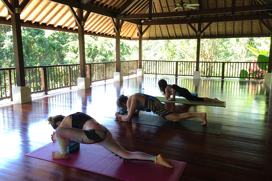 3 Days Heal at BeingSattvaa Retreat In Bali by BeingSattvaa Wellness Ubud4.webp